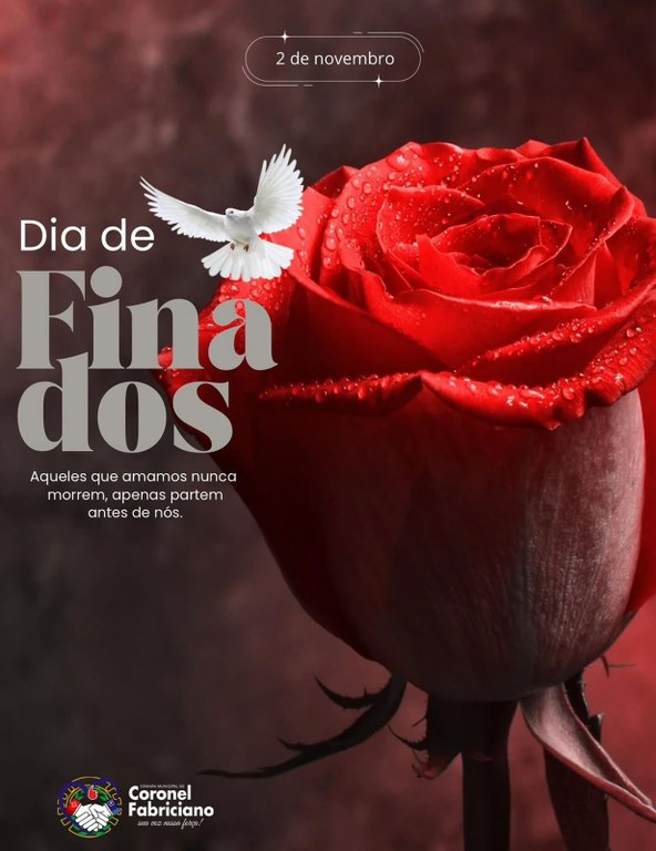 🕊️Dia de Finados: momento de reflexão, fé e gratidão pela vida