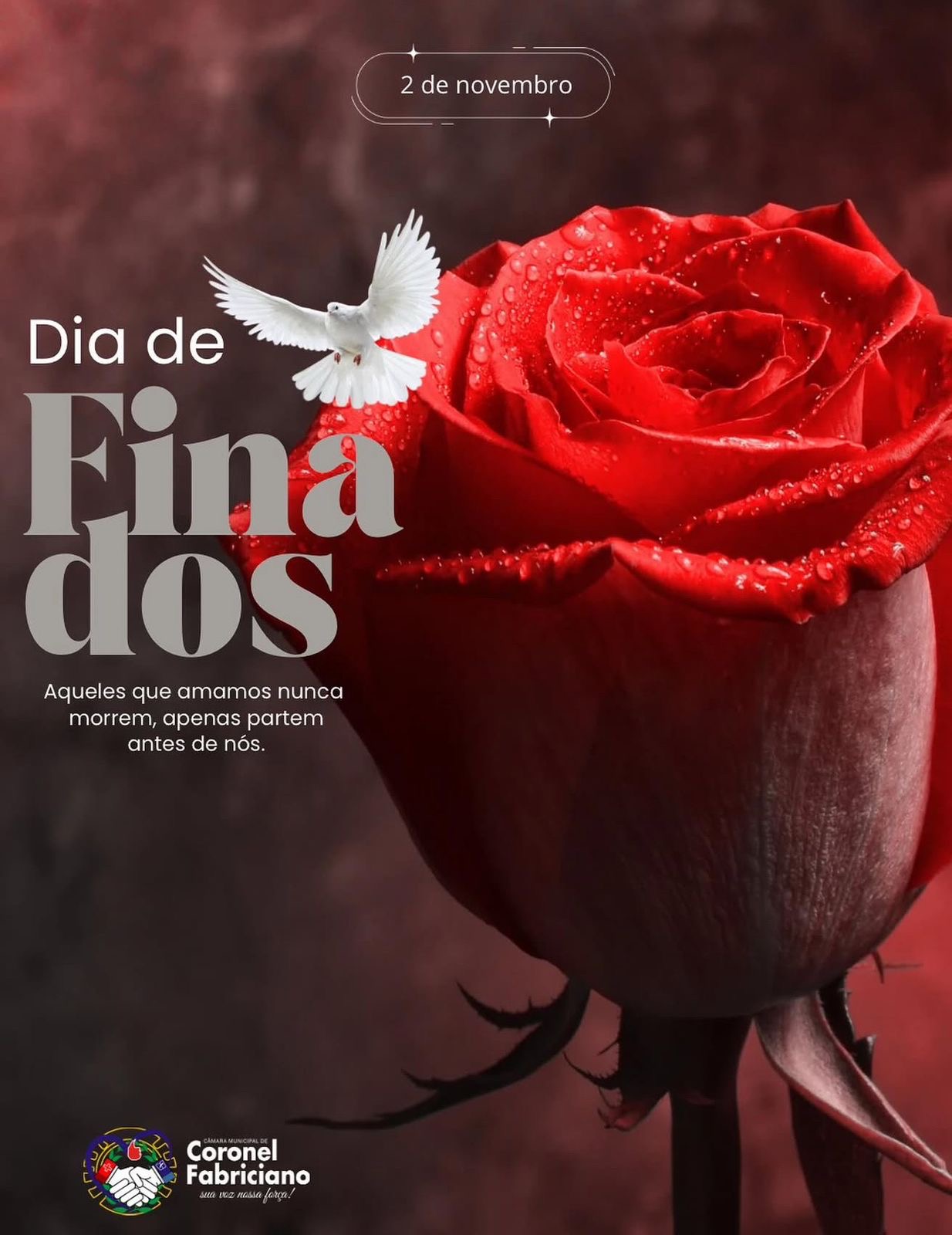 🕊️Dia de Finados: momento de reflexão, fé e gratidão pela vida