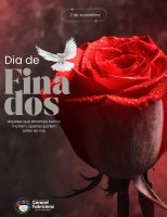 🕊️Dia de Finados: momento de reflexão, fé e gratidão pela vida