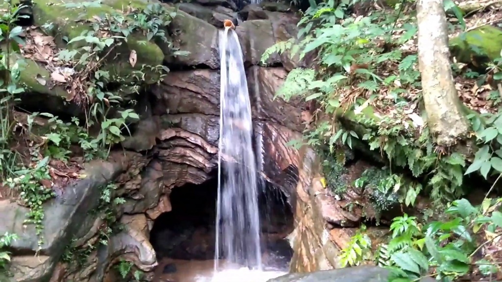 Câmara aprova mudança no Conselho da APA da Biquinha